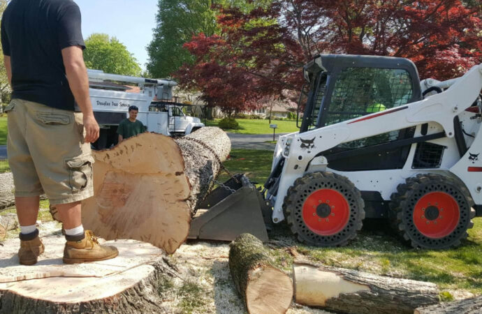 Greenacres-South Florida Tree Trimming and Stump Grinding Services-We Offer Tree Trimming Services, Tree Removal, Tree Pruning, Tree Cutting, Residential and Commercial Tree Trimming Services, Storm Damage, Emergency Tree Removal, Land Clearing, Tree Companies, Tree Care Service, Stump Grinding, and we're the Best Tree Trimming Company Near You Guaranteed!