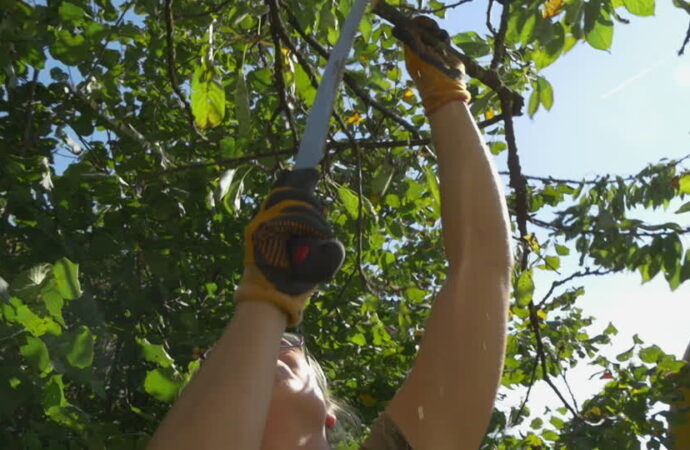 Key Biscayne-South Florida Tree Trimming and Stump Grinding Services-We Offer Tree Trimming Services, Tree Removal, Tree Pruning, Tree Cutting, Residential and Commercial Tree Trimming Services, Storm Damage, Emergency Tree Removal, Land Clearing, Tree Companies, Tree Care Service, Stump Grinding, and we're the Best Tree Trimming Company Near You Guaranteed!