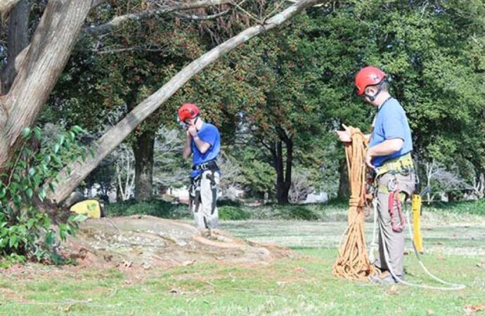 Miami-Dade County-South Florida Tree Trimming and Stump Grinding Services-We Offer Tree Trimming Services, Tree Removal, Tree Pruning, Tree Cutting, Residential and Commercial Tree Trimming Services, Storm Damage, Emergency Tree Removal, Land Clearing, Tree Companies, Tree Care Service, Stump Grinding, and we're the Best Tree Trimming Company Near You Guaranteed!