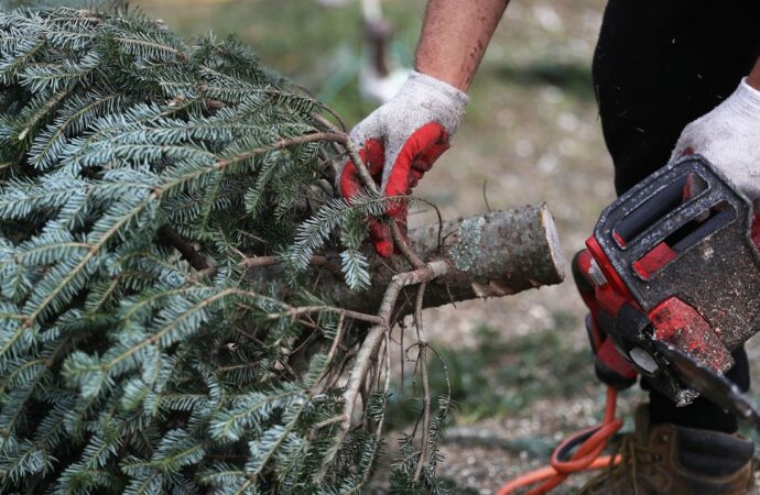 Palm Beach County-South Florida Tree Trimming and Stump Grinding Services-We Offer Tree Trimming Services, Tree Removal, Tree Pruning, Tree Cutting, Residential and Commercial Tree Trimming Services, Storm Damage, Emergency Tree Removal, Land Clearing, Tree Companies, Tree Care Service, Stump Grinding, and we're the Best Tree Trimming Company Near You Guaranteed!