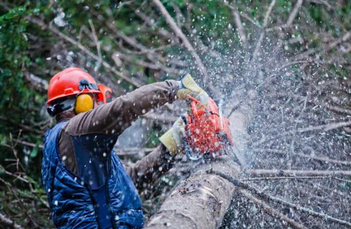 Palm Beach Gardens-South Florida Tree Trimming and Stump Grinding Services-We Offer Tree Trimming Services, Tree Removal, Tree Pruning, Tree Cutting, Residential and Commercial Tree Trimming Services, Storm Damage, Emergency Tree Removal, Land Clearing, Tree Companies, Tree Care Service, Stump Grinding, and we're the Best Tree Trimming Company Near You Guaranteed!