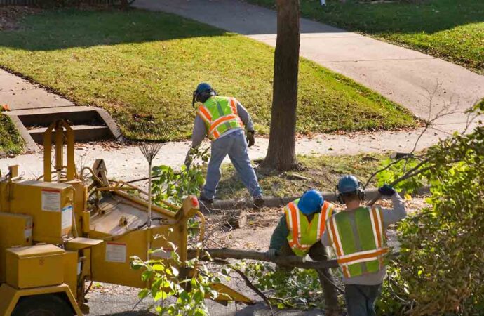 Palm Springs-South Florida Tree Trimming and Stump Grinding Services-We Offer Tree Trimming Services, Tree Removal, Tree Pruning, Tree Cutting, Residential and Commercial Tree Trimming Services, Storm Damage, Emergency Tree Removal, Land Clearing, Tree Companies, Tree Care Service, Stump Grinding, and we're the Best Tree Trimming Company Near You Guaranteed!