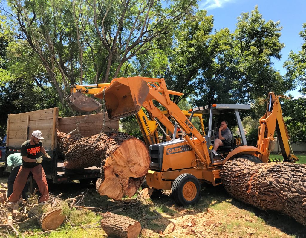 services miami Avon tree removal IN fl,