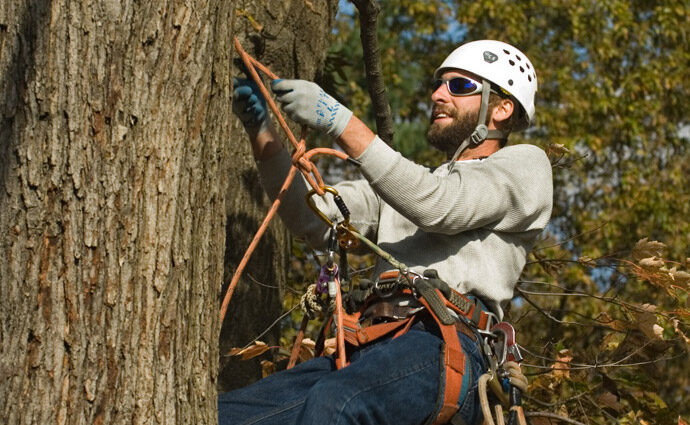 Pompano Beach-South Florida Tree Trimming and Stump Grinding Services-We Offer Tree Trimming Services, Tree Removal, Tree Pruning, Tree Cutting, Residential and Commercial Tree Trimming Services, Storm Damage, Emergency Tree Removal, Land Clearing, Tree Companies, Tree Care Service, Stump Grinding, and we're the Best Tree Trimming Company Near You Guaranteed!