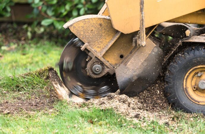 Stump Grinding-South Florida Tree Trimming and Stump Grinding Services-We Offer Tree Trimming Services, Tree Removal, Tree Pruning, Tree Cutting, Residential and Commercial Tree Trimming Services, Storm Damage, Emergency Tree Removal, Land Clearing, Tree Companies, Tree Care Service, Stump Grinding, and we're the Best Tree Trimming Company Near You Guaranteed!