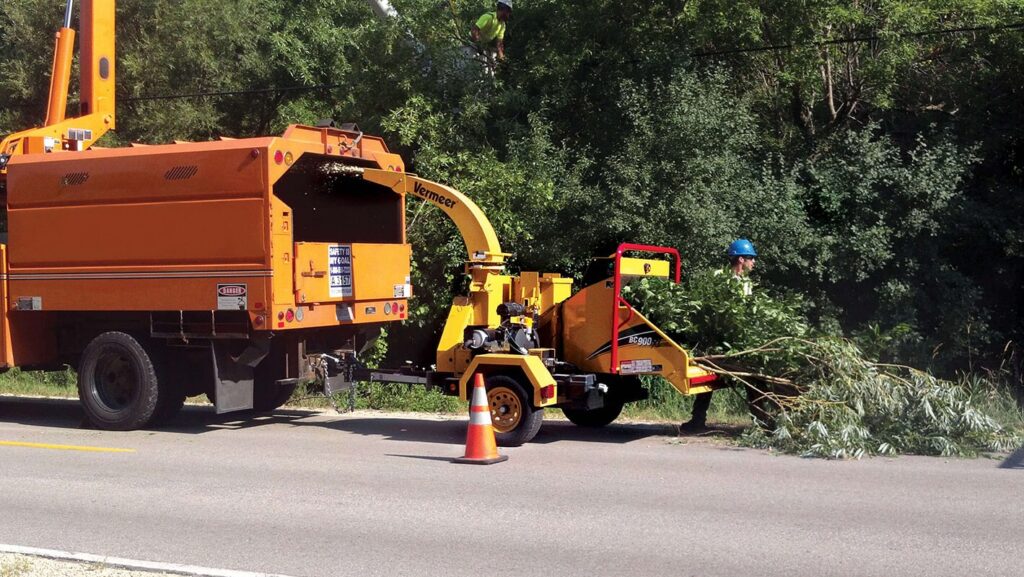 Commercial-Tree-Services-Near me-South Florida Tree Trimming and Stump Grinding Services