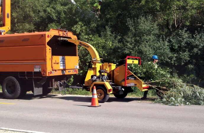 Commercial-Tree-Services-Near me-South Florida Tree Trimming and Stump Grinding Services