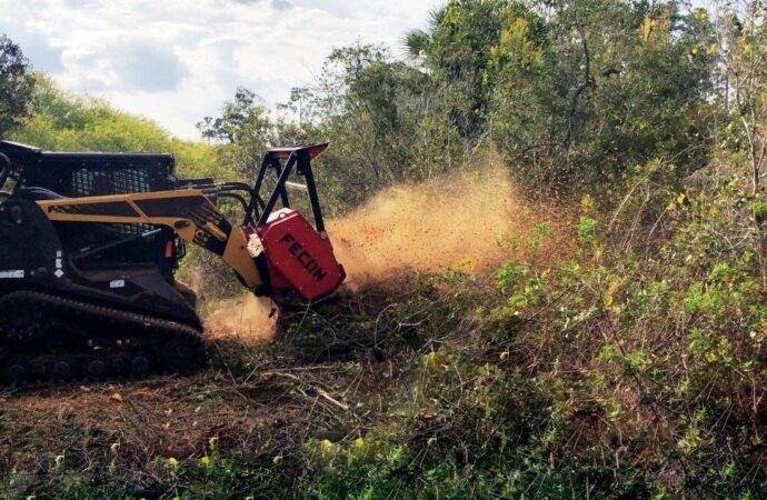 Land-Clearing-Near Me-South Florida Tree Trimming and Stump Grinding Services