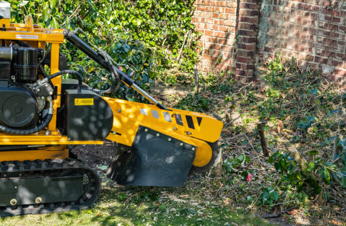 Stump-Grinding-Near Me-South Florida Tree Trimming and Stump Grinding Services