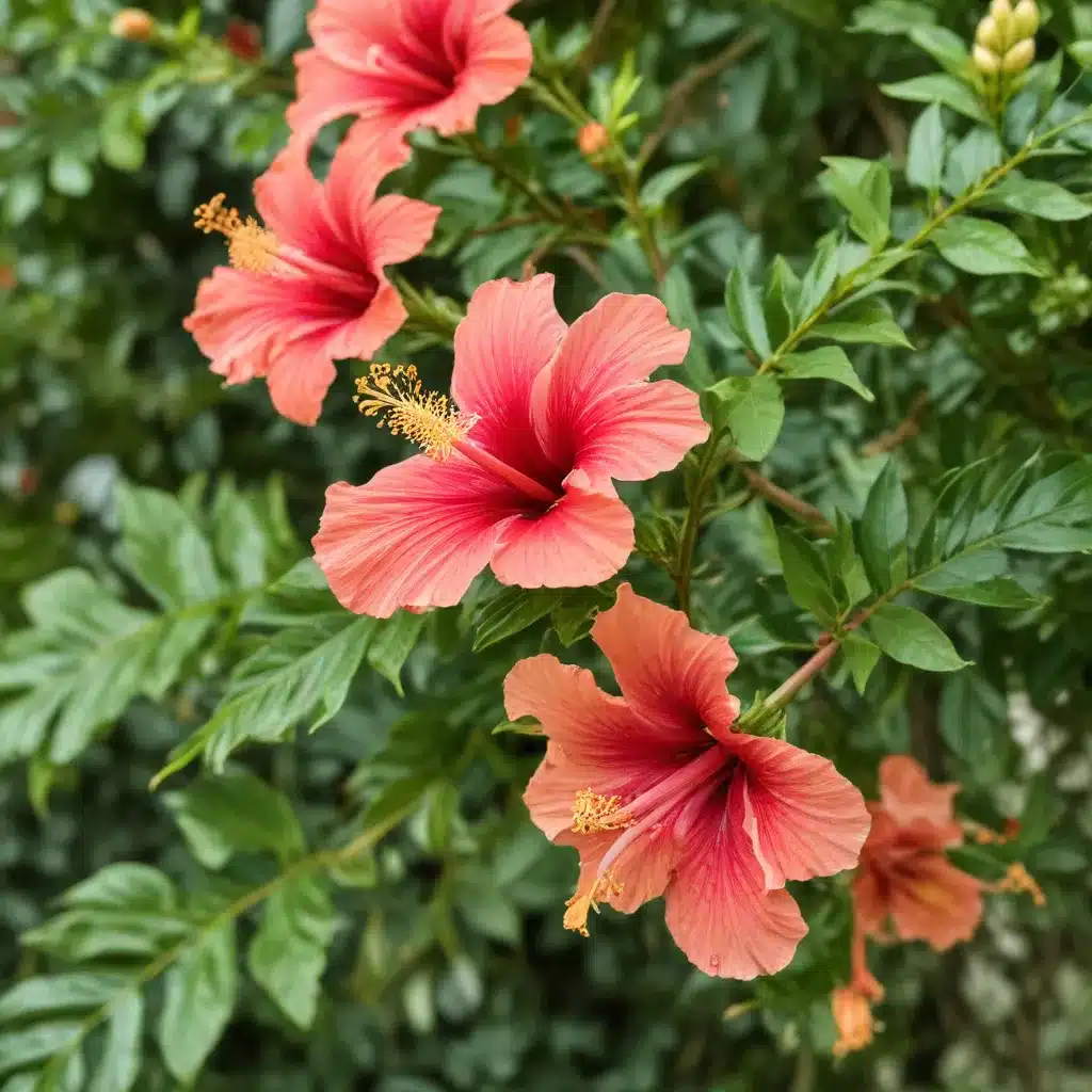 Battling the Scourge of the Hibiscus Twig Borer: Protecting Your Tropical Ornamentals