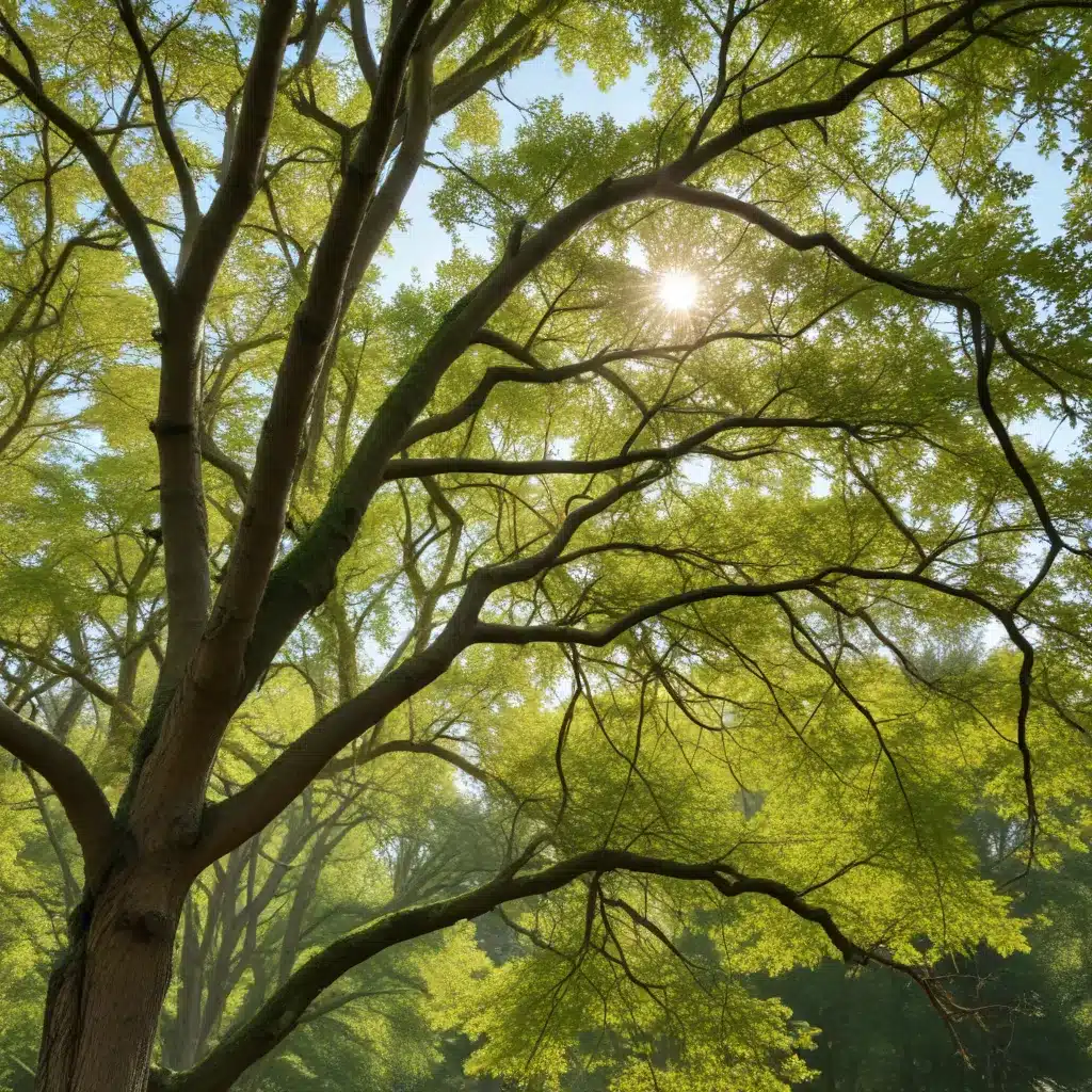 Canopy companions: Choosing the best trees to support wildlife in your yard