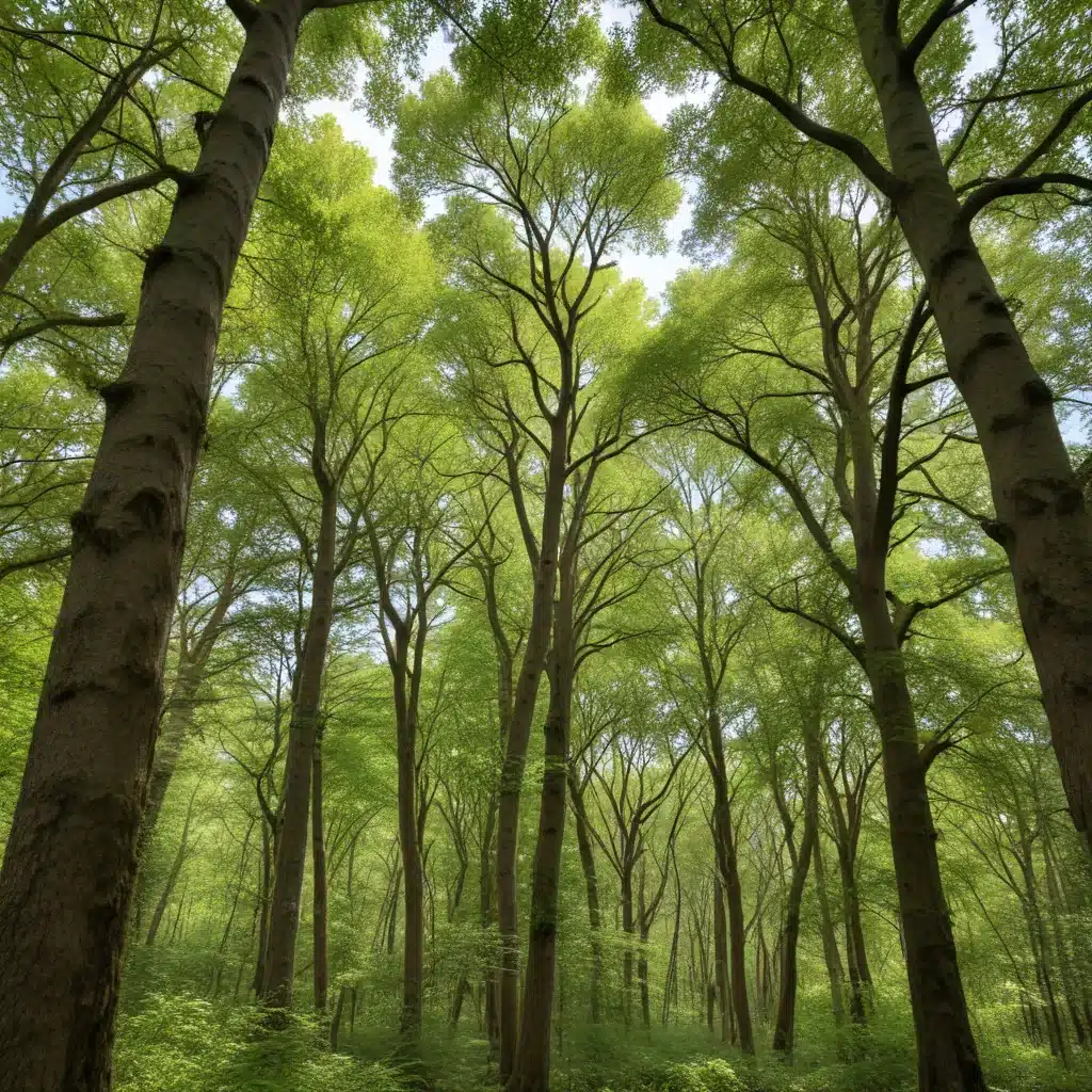 Canopy curators: Selecting the best trees to support local wildlife populations
