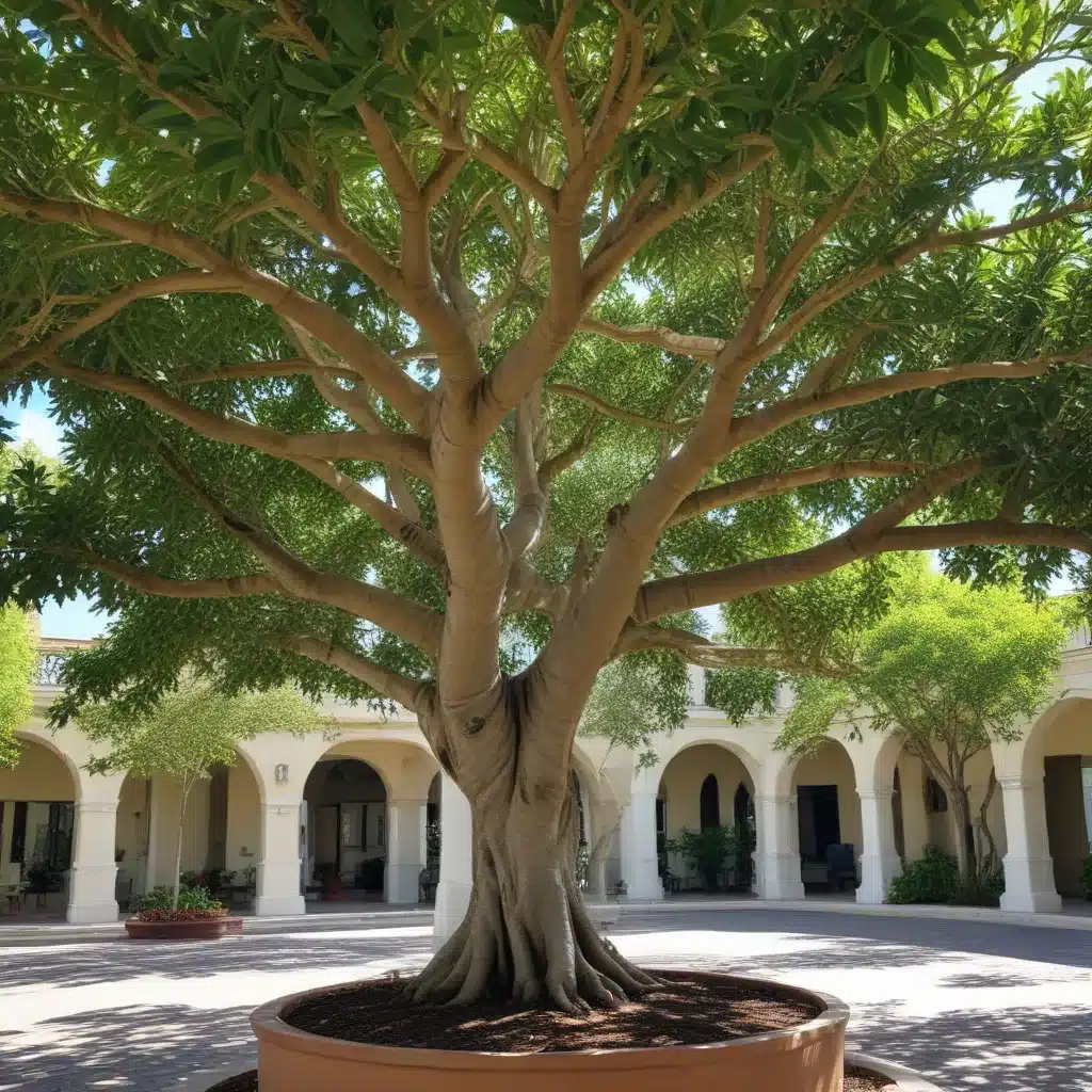 Caring for Ficus Trees in South Florida’s Urban Environments