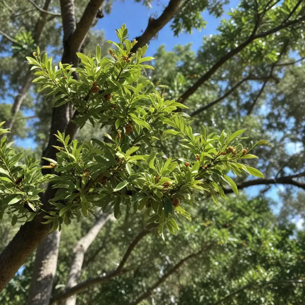 Combating Invasive Tree Pests in the Diverse South Florida Ecosystem