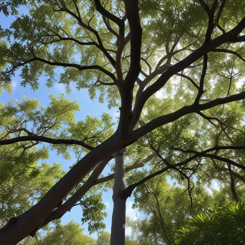 Enhancing Carbon Sequestration in South Florida’s Urban Forests through Pruning