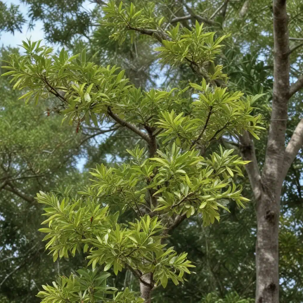 Enhancing Wildlife Habitat with Native Tree Species in South Florida