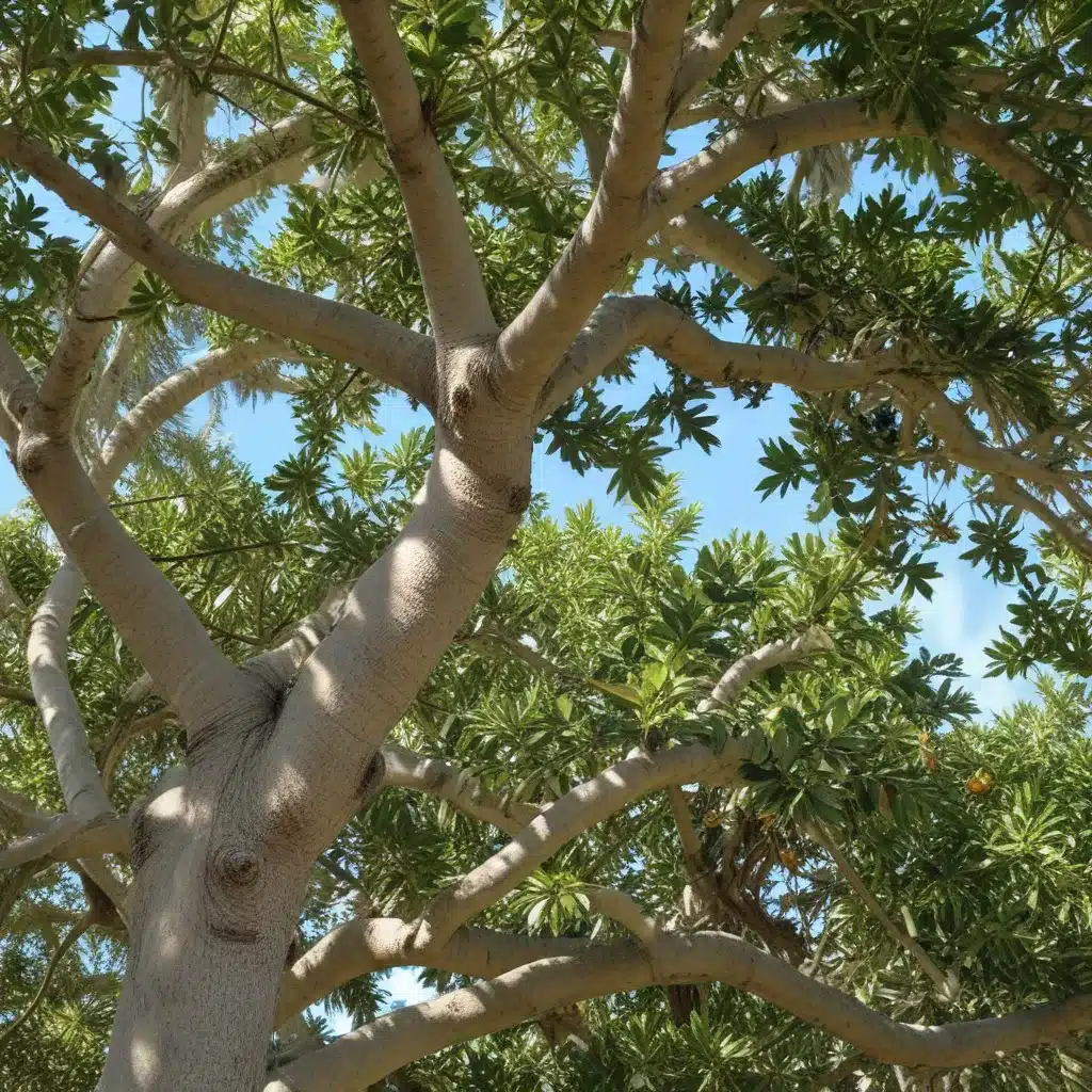 Feeding Frenzy: Crafting the Perfect Fertilization Plan for South Florida Trees