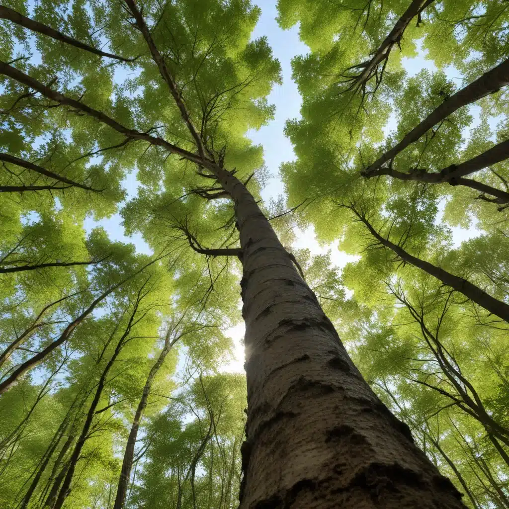 Harnessing the Power of Tree Microbiomes for Enhanced Ecosystem Services