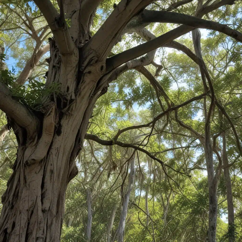 Identifying and Addressing the Impacts of Invasive Tree Species on South Florida’s Ecosystems