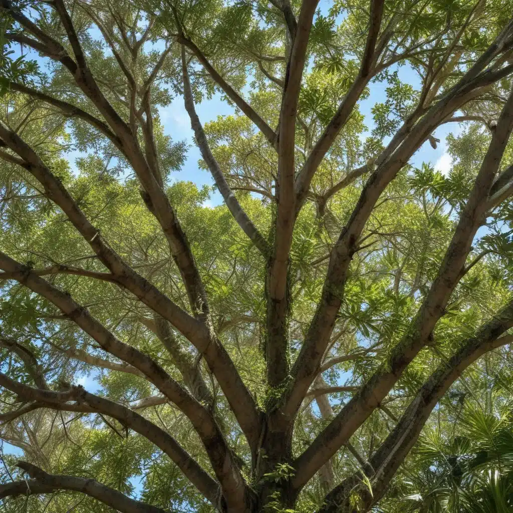 Identifying and Controlling Invasive Tree Species in South Florida Ecosystems
