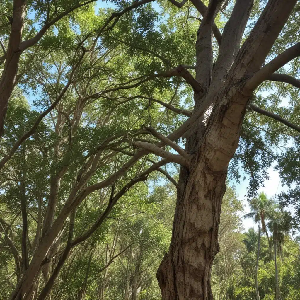 Identifying and Mitigating the Impacts of Invasive Tree Species in South Florida