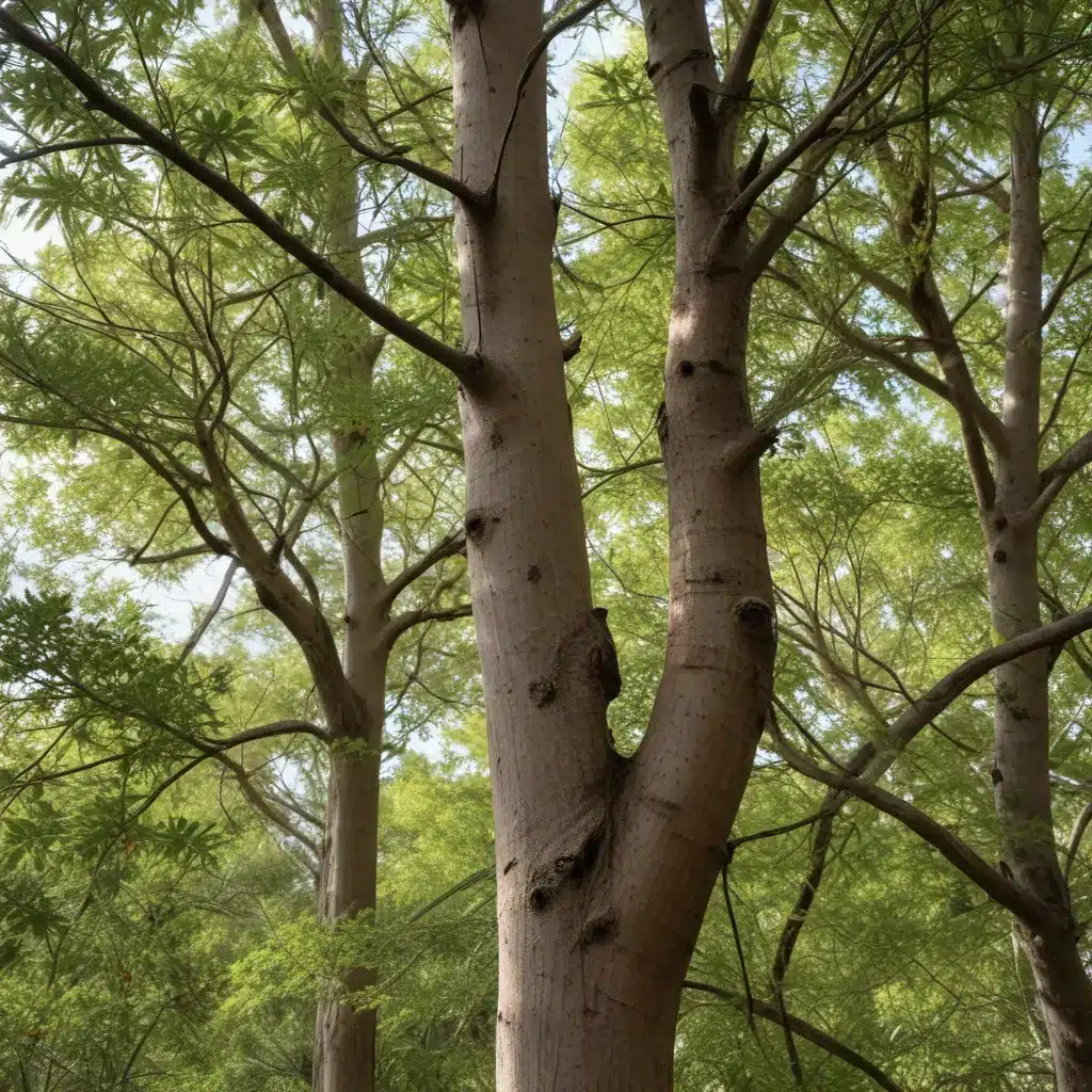 Incorporating native tree species to support local ecosystems and wildlife