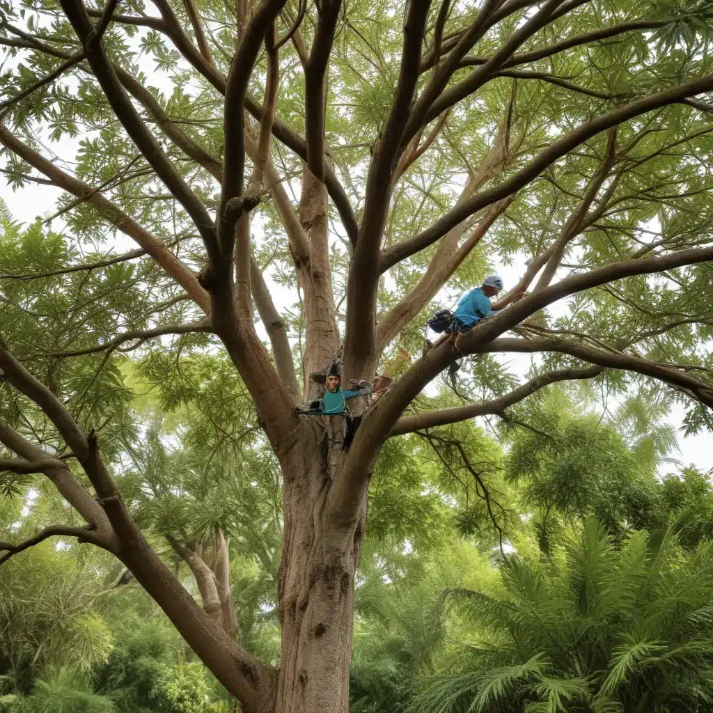 Mastering the Art of Tropical Tree Pruning for Optimal Health