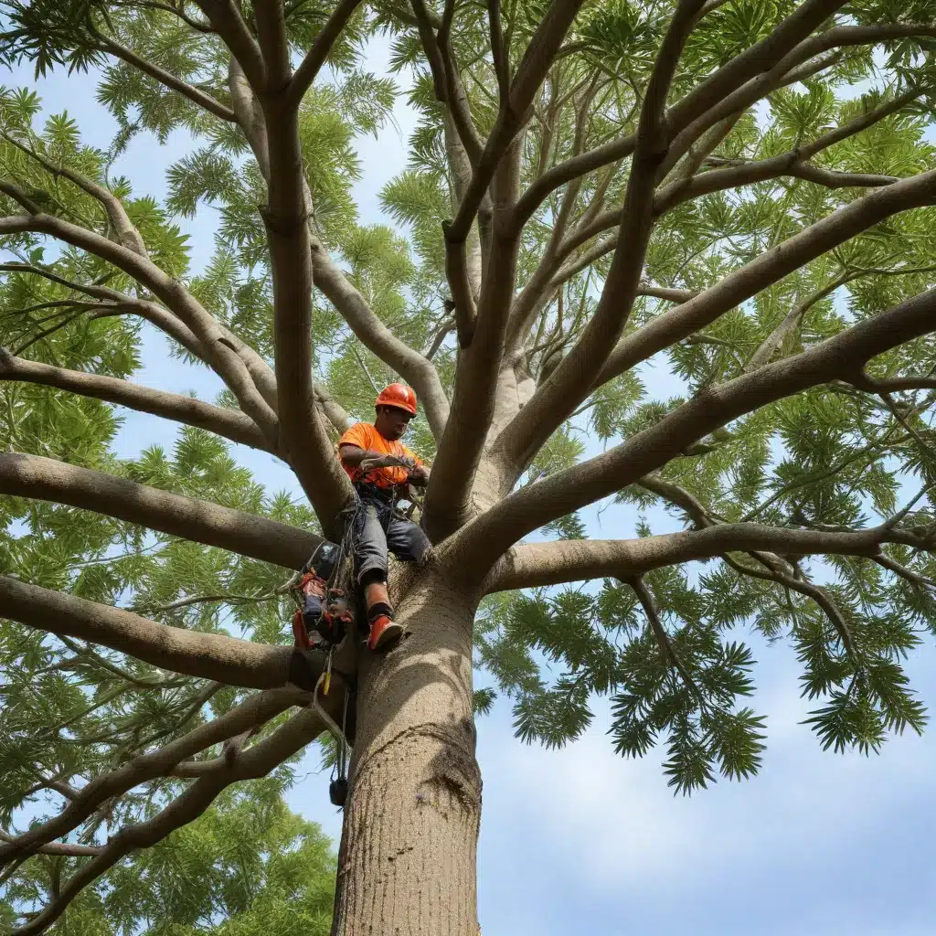 Mastering the Science of Tropical Tree Pruning for Arborists