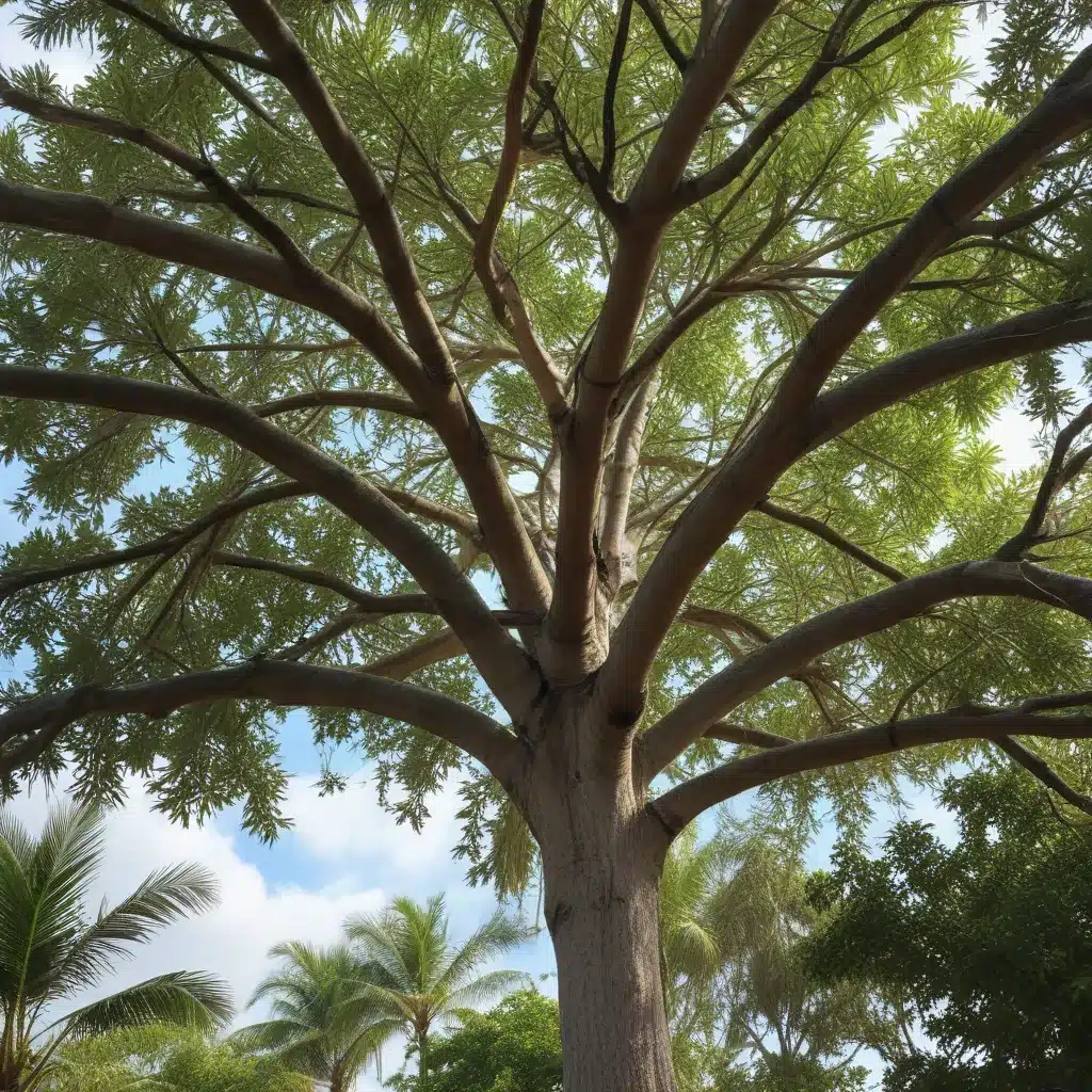 Mastering the Science of Tropical Tree Pruning for South Florida