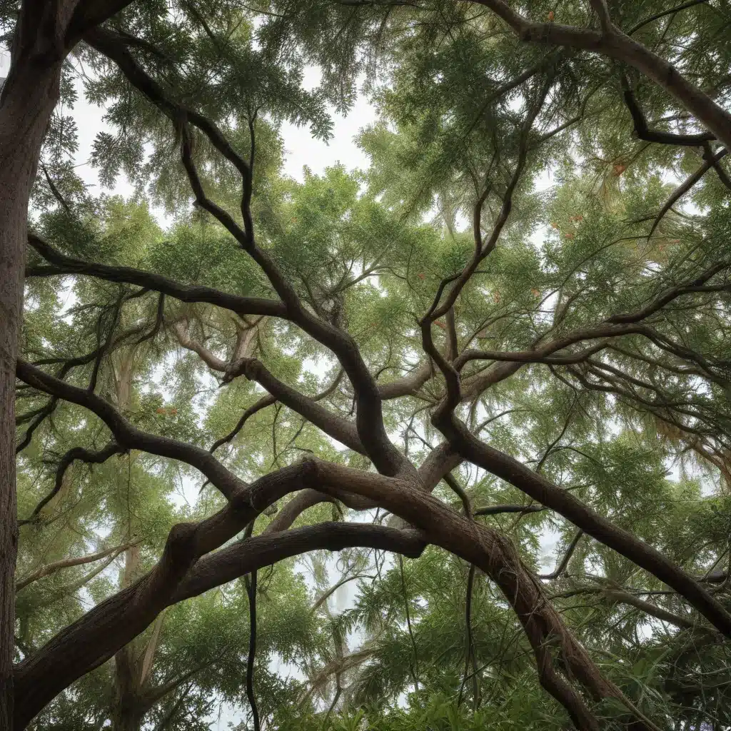 Minimizing Hurricane Damage to Your South Florida Trees: A Comprehensive Guide
