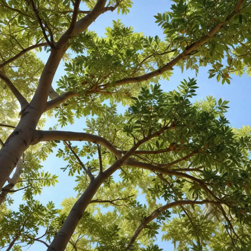 Native treasures: Celebrating the beauty and benefits of local tree varieties