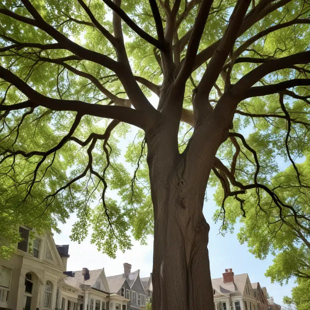 Navigating the Permitting Process for Tree Maintenance in Historic Districts