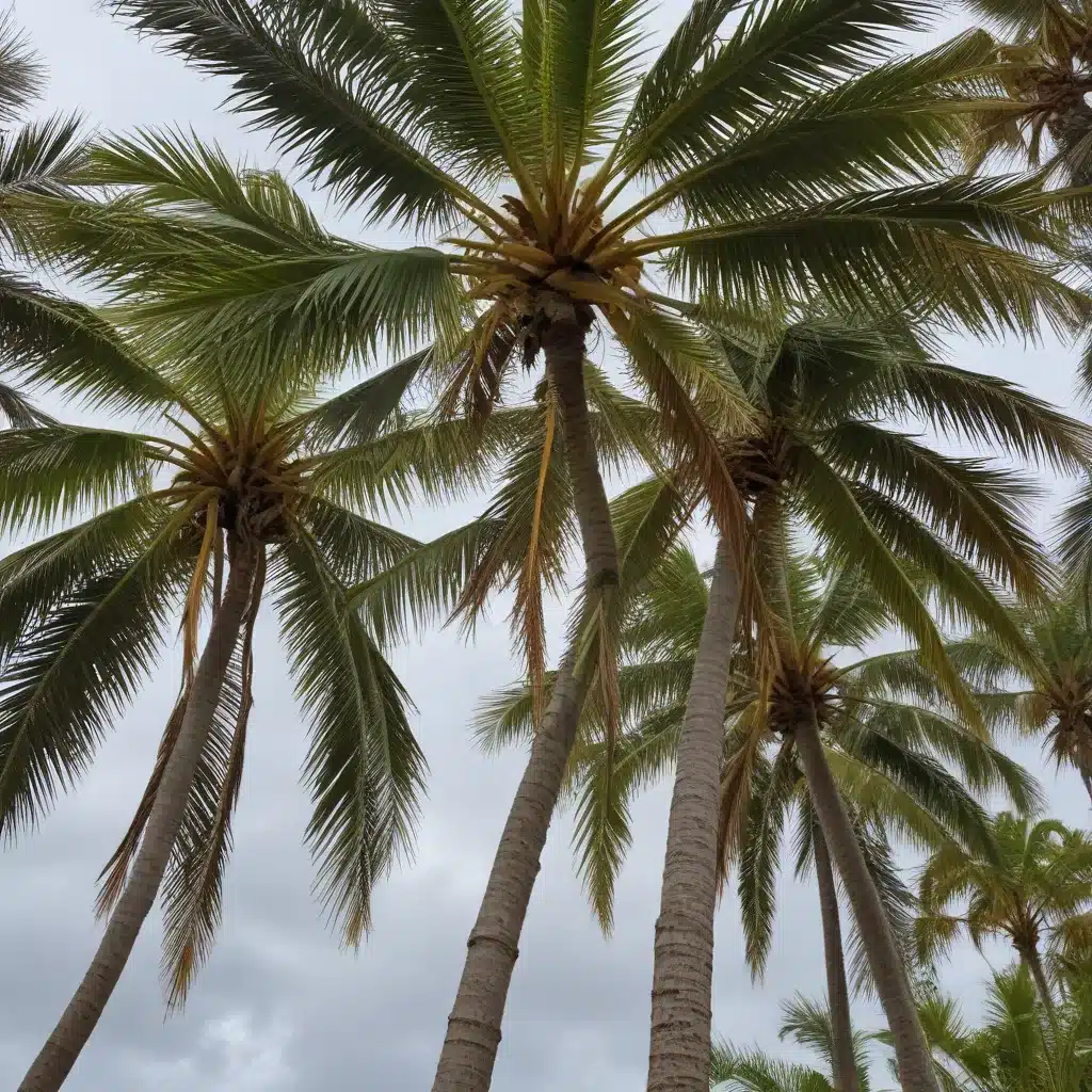 Palms and power: Selecting storm-hardy species to weather extreme conditions