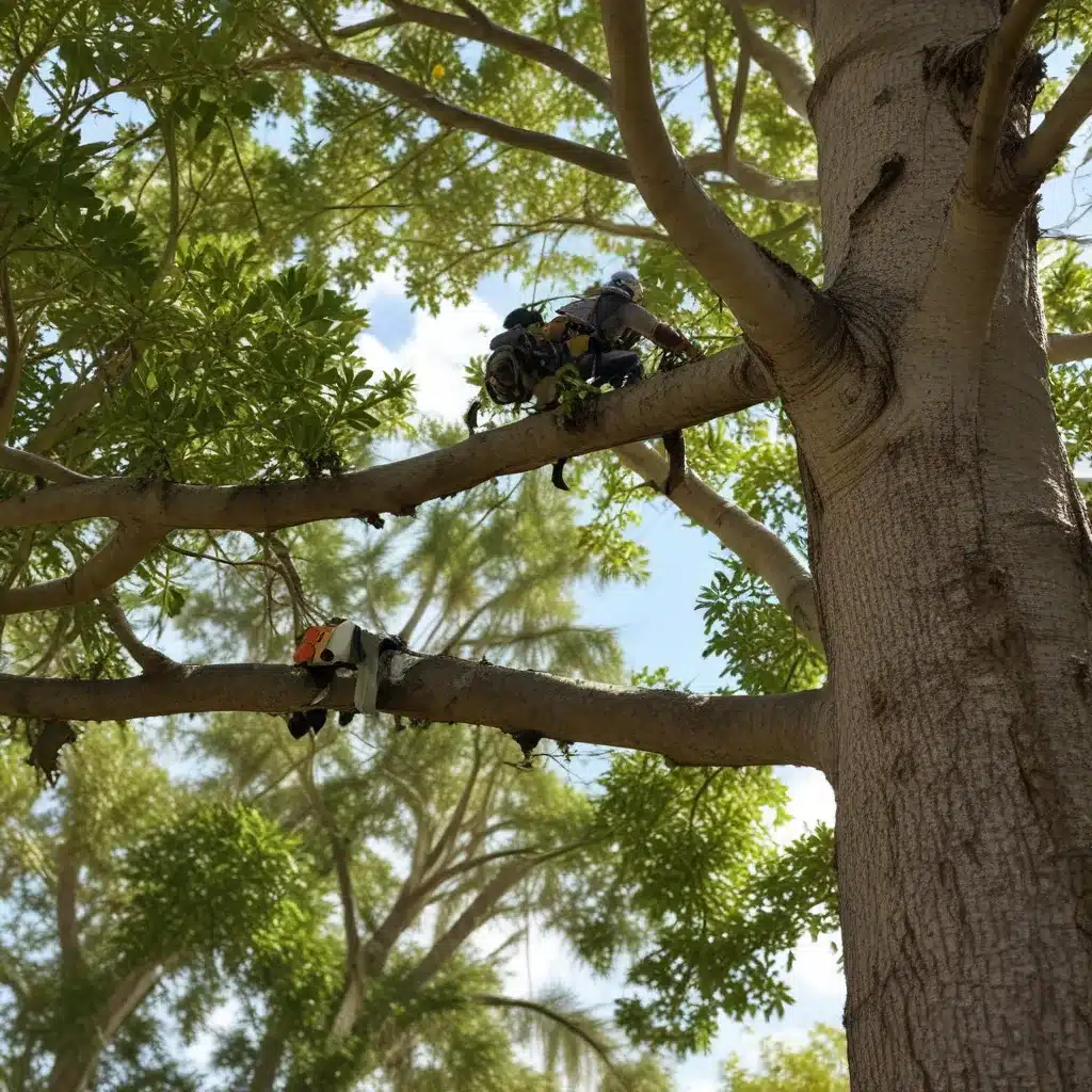 Proactive pest management for the health of South Florida’s urban trees