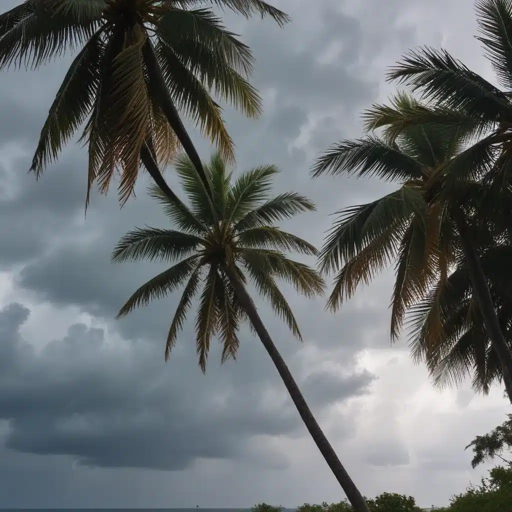 Protecting Your Palms from Wind and Rain During a Subtropical Storm