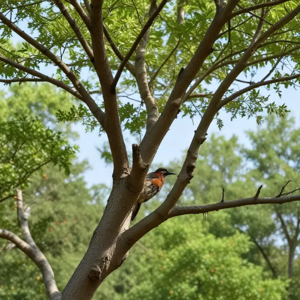 Pruning for Habitat Creation: Providing Niches for Wildlife in Tree Canopies