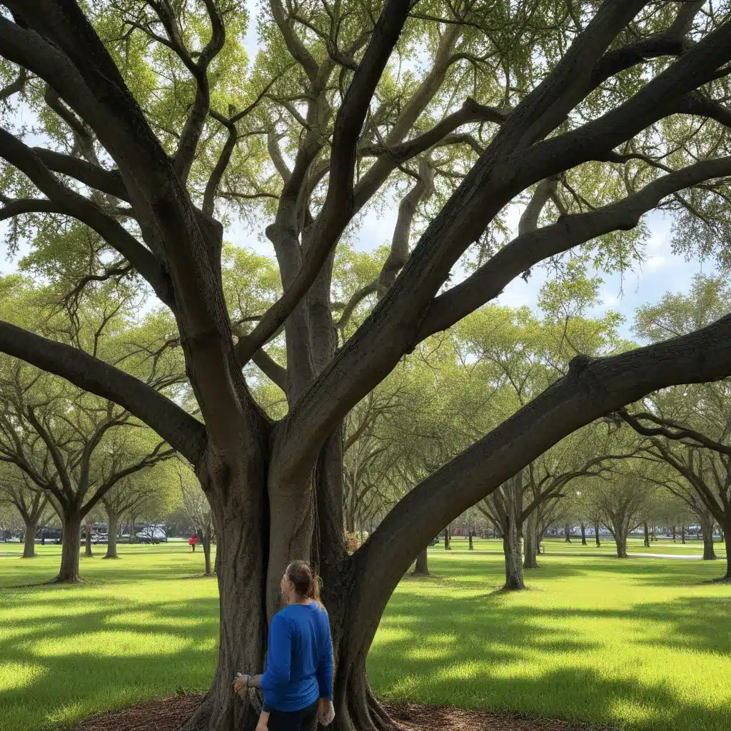 Pruning for Resilience: Preparing South Florida’s Trees for the Future