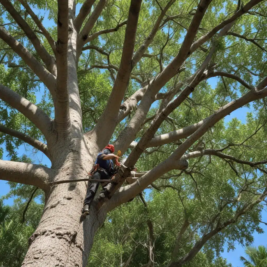 Pruning for Structure and Form in South Florida Trees
