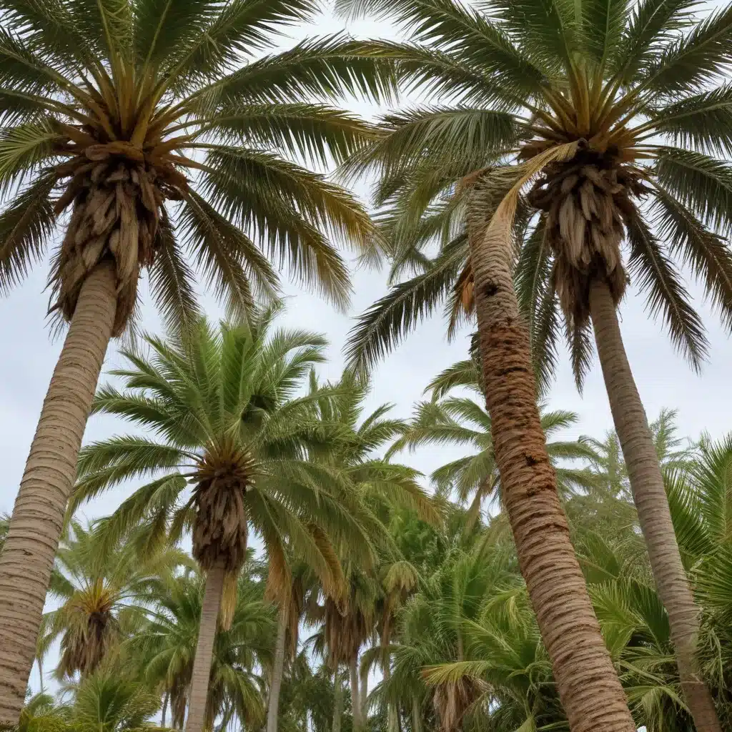 Reviving Storm-Damaged Palm Trees: Strategies for Restoring Trees after Hurricanes