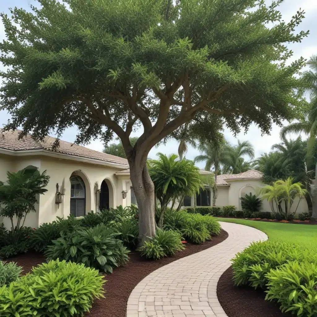 Selecting the Best Trees for Your South Florida Landscape Design
