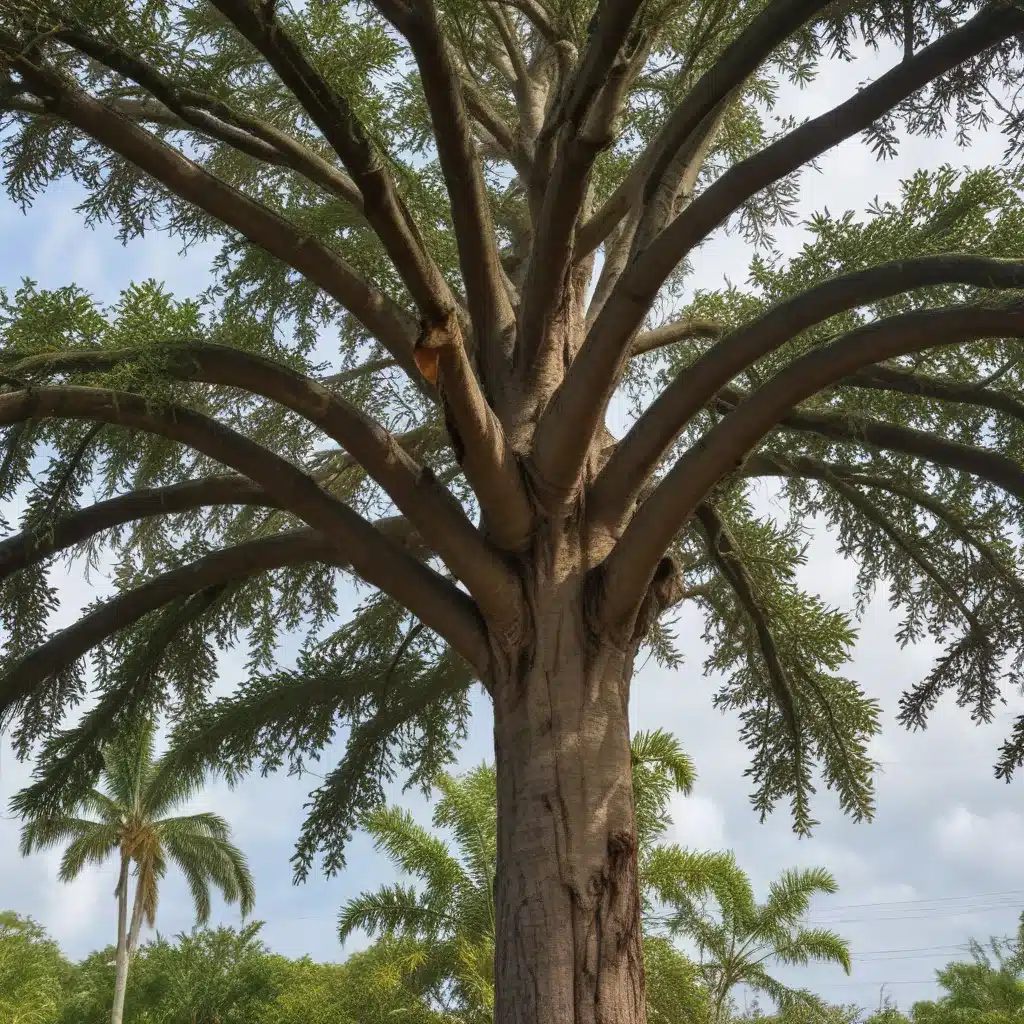 Selecting the Right Tree Species for Hurricane-Prone South Florida