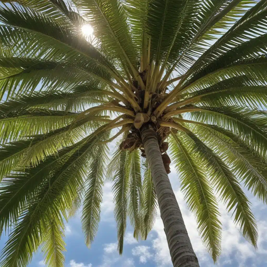 Sustainable Pruning Practices for South Florida’s Iconic Palm Species