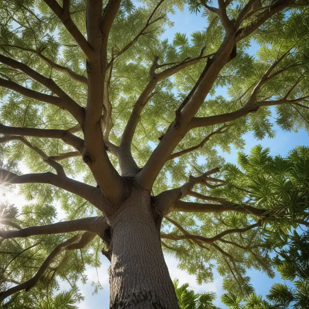 Sustainable Tree Care Practices for Resilient South Florida Communities