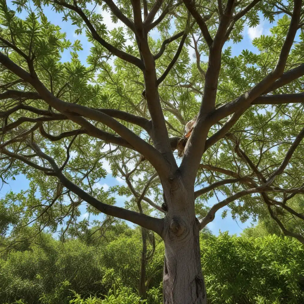 Sustainable Tree Care Practices for South Florida’s Coastal Landscapes