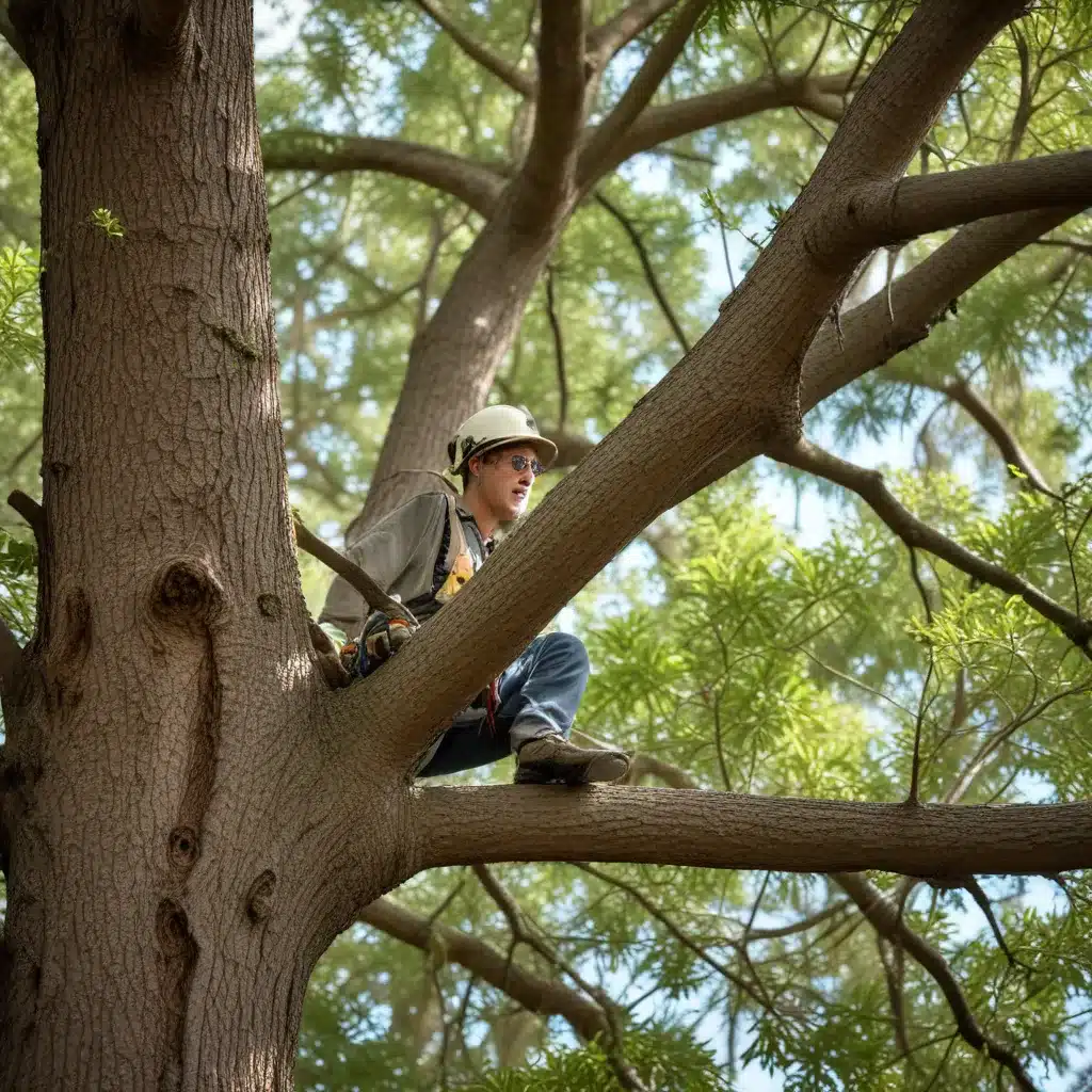 Thriving Trees, Healthy Homes: A Guide to Tree Maintenance in South Florida