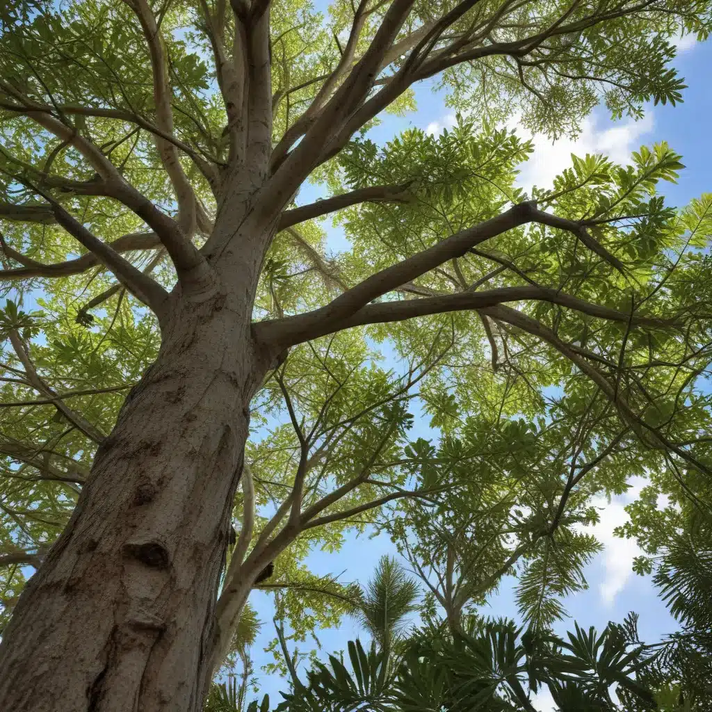 Unlocking the Secrets of Native Tree Species in South Florida Landscapes