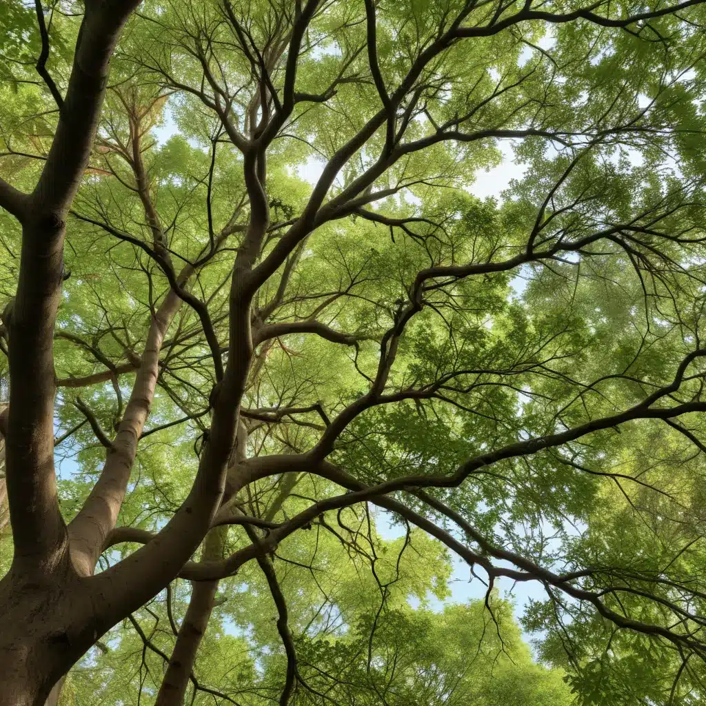 Unlocking the Secrets of Tree Microbiomes for Enhanced Ecosystem Services and Resilience